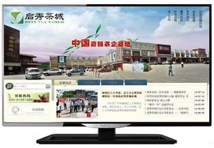 松江企業(yè)數(shù)字化轉(zhuǎn)型 一站式網(wǎng)站建設(shè)、維護與托管解決方案